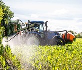 (© Adobe Stock) (© Adobe Stock)