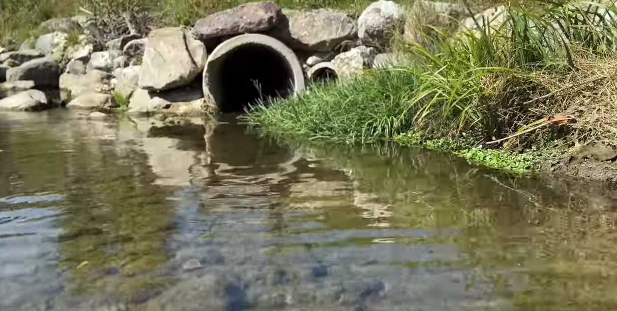 Das Video ist in Zusammenarbeit mit dem Abwasserverband Höfe, Karin Thum (Geschäftsführerin und Betriebsleiterin), Reto Kümin (Klärwerkfachmann mit eidg. FA) sowie Sarah Fässler, Gewässerökologin entstanden.