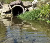 Das Video ist in Zusammenarbeit mit dem Abwasserverband Höfe, Karin Thum (Geschäftsführerin und Betriebsleiterin), Reto Kümin (Klärwerkfachmann mit eidg. FA) sowie Sarah Fässler, Gewässerökologin entstanden. Das Video ist in Zusammenarbeit mit dem Abwasserverband Höfe, Karin Thum (Geschäftsführerin und Betriebsleiterin), Reto Kümin (Klärwerkfachmann mit eidg. FA) sowie Sarah Fässler, Gewässerökologin entstanden.