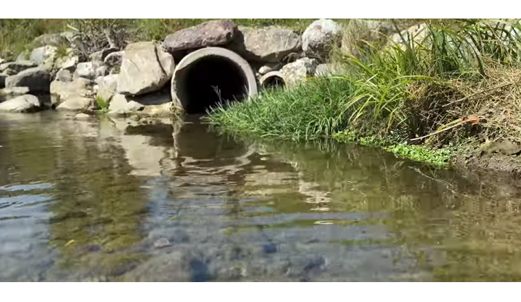 Il video è stato realizzato in collaborazione con il consorzio Höfe, Karin Thum (amministratrice e responsabile dell’esercizio), Reto Kümin (gestore d’impianto di depurazione delle acque con APF) e Sarah Fässler, ecologa delle acque.