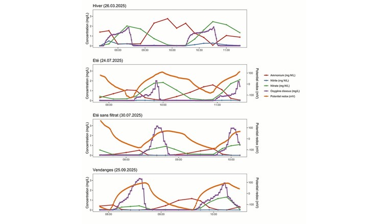 Fig. 2 Echantillonnages dynamiques réalisé en hiver, en été, en été sans filtrat, et durant les vendanges.