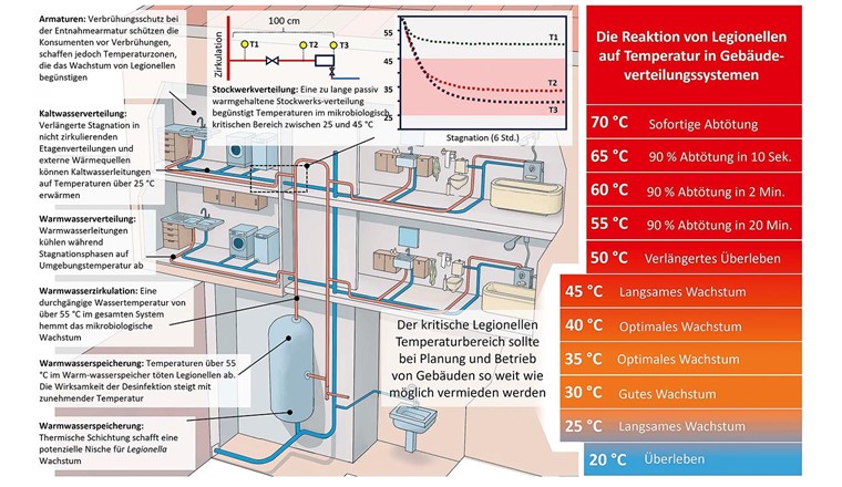 Fig. 4 Représentation conceptuelle des variations potentielles de température dans la distribution d'eau chaude et d'eau froide des bâtiments et de leur influence sur la survie, la croissance et l'élimination ou la désinfection des légionelles. (adapté de Hammes et al. 2025 [2])