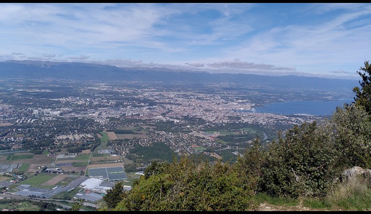 Aus dem CC «Siedlungsentwässerung» wird das CC «Wasser im Siedlungsraum». Mit der Umbenennung reagiert der VSA auf den Wandel der Siedlungswasserwirtschaft.