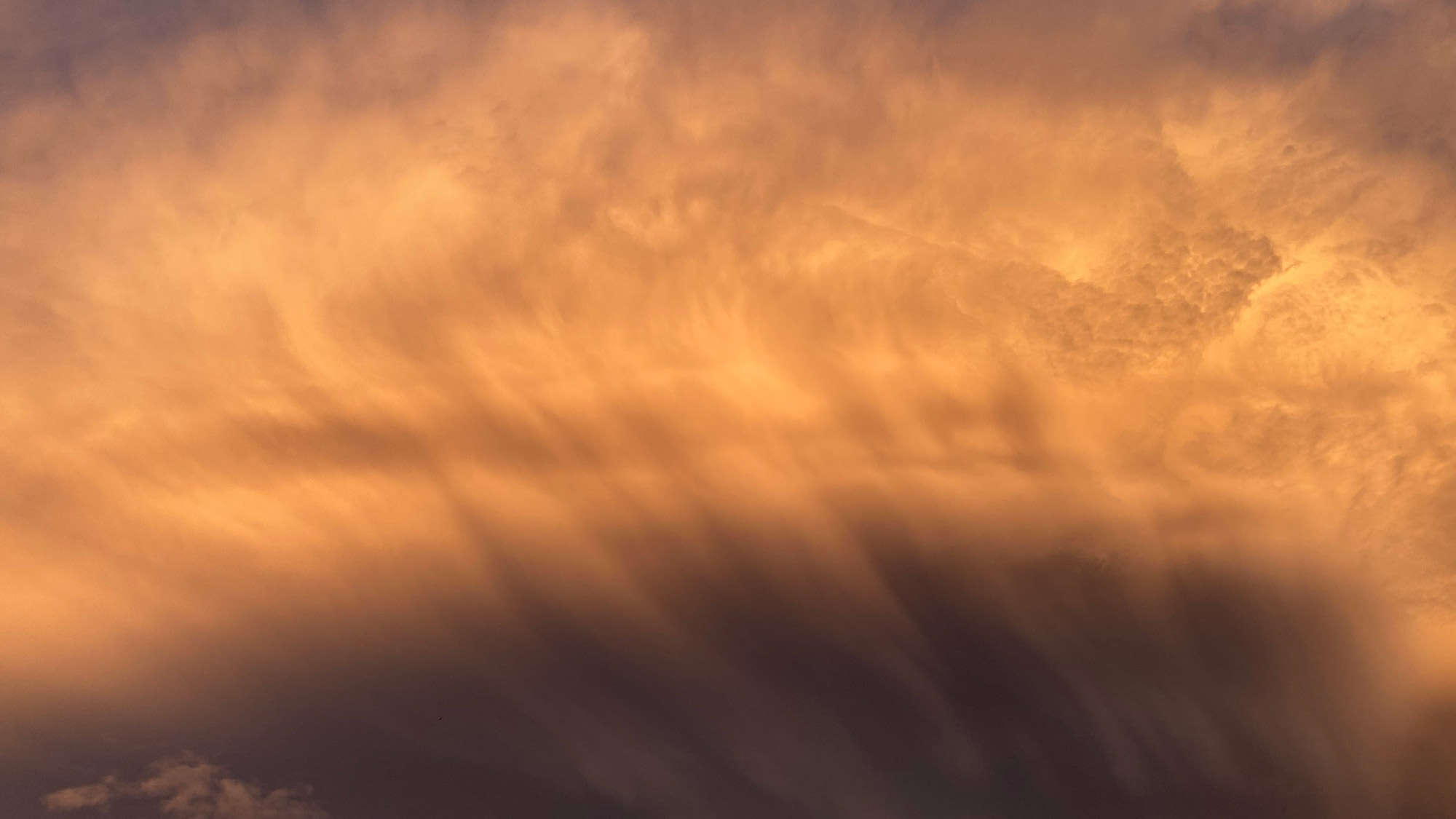 Conférence & assemblée générale du VSA 