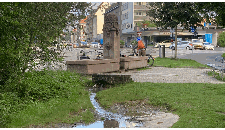 Fig. 4&5: Una volta terminato il progetto Città spugna, le tematiche relative alle città spugna continueranno a essere elaborate nel CC «Acque urbane». Fino ad allora, oltre al corso specialistico «Rivitalizzazione delle sorgenti», che sarà proposto per la prima volta il 9 giugno 2026, saranno creati altri corsi di specializzazione sulla realizzazione delle misure per città spugna.