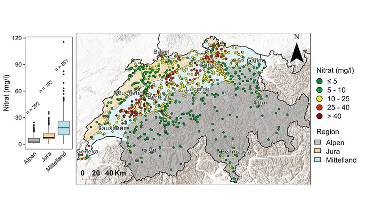 Fig. 1 Karte der Schweiz und Boxplot der Verteilung der mittleren Nitratkonzentrationen im Grundwasser von 1336 Messstellen in den drei geografischen Regionen der Schweiz: Alpen (n = 292), Jura (n = 193) und Mittelland (n = 851). Die verwendeten Nitratdaten stammen von NAQUA [6] und von mehreren kantonalen Fachstellen (s. Danksagung).