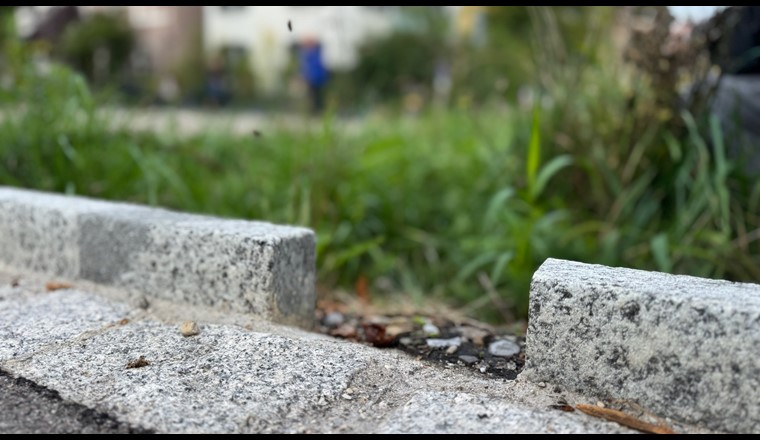 Projektleiterin Schwammstadt Noëmie Probst. Foto Neoviso/VSA