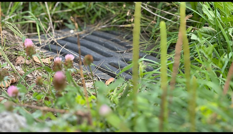 Projektleiterin Schwammstadt Noëmie Probst. Foto Neoviso/VSA