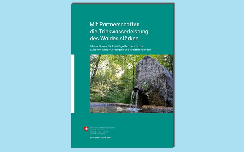 Mit Partnerschaften die Trinkwasserleistung des Waldes stärken