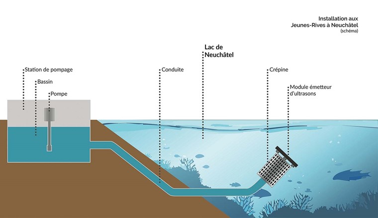 Fig. 1 Schéma du prototype.