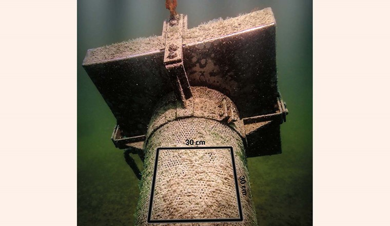 Fig. 4 Crépine équipée du système à ultrasons – 11 octobre 2025