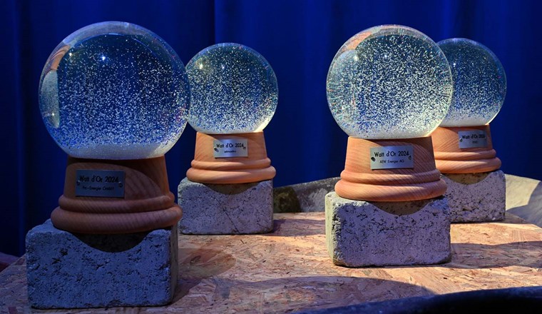 Die beliebte Schneekugel des Watt d'Or im Jahr 2024. ©BFE2026