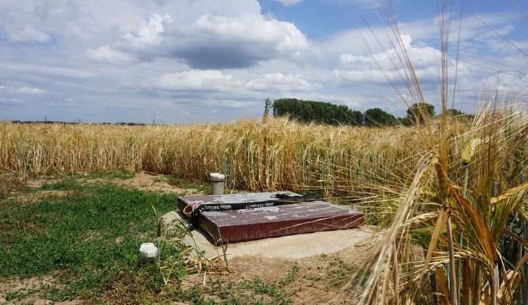 Die Messstellen im WaRM-Projekt dienen dazu, reaktive Stofftransportprozesse über die ungesättigte Zone in das Grundwasser zu untersuchen. © Stephan Schulz / TU Darmstadt