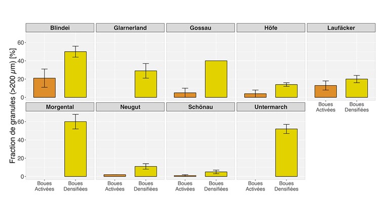 Fig. 2 Anteil der Granulen (> 200 µm) im Belebtschlamm resp. verdichteten Schlamm der verschiedenen untersuchten ARA.