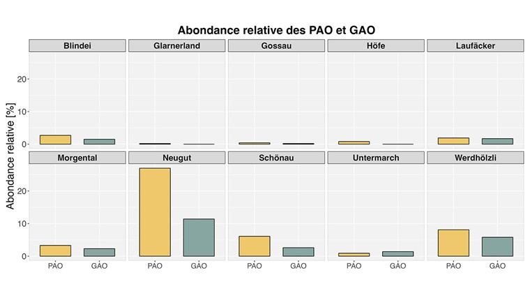 Fig. 5 Relative Häufigkeit von Mikroorganismen, die Polyphosphat (PAO) oder Glykogen (GAO) akkumulieren. Punktuelle Messungen im Mai 2025.