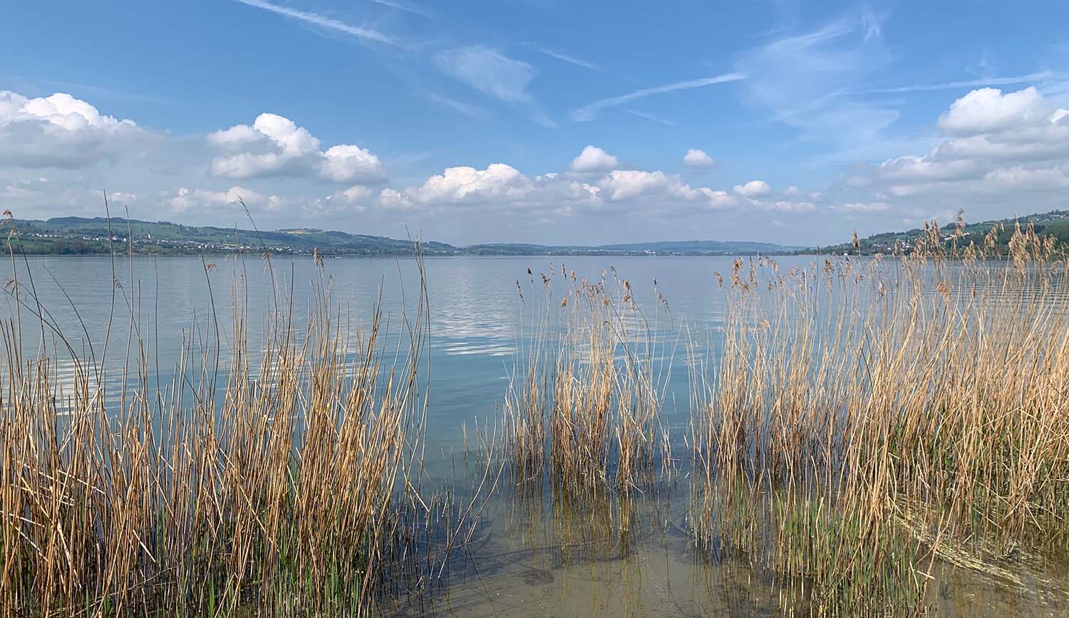 Sempachersee im Kanton Luzern © Adobe Stock