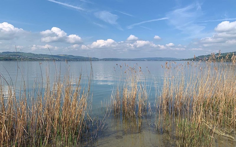 Kanton Luzern: Neue Wasserstrategie geht in die Vernehmlassung