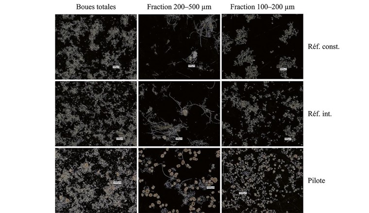 Fig.1 Images microscopiques des boues totales, fraction 200–500 µm et 100–200 µm dans la ligne pilote, la ligne «Réf. int.» et la ligne «Réf. const.».