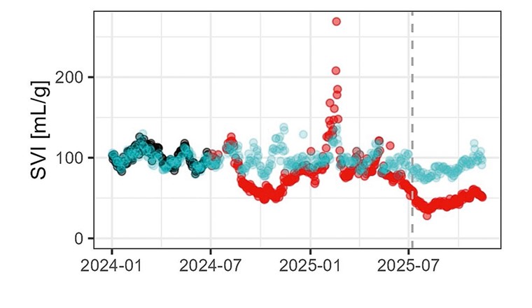Fig. 7 Verlauf des Schlammvolumenindexes (SVI) auf der ARA Höfe. Rot: Pilotstrasse mit Hydrozyklon; Schwarz: Pilotstrasse vor Hydrozyklon-Implementierung; Blau: Referenzstrasse. Die gestrichelte Linie markiert das Messdatum mit dem tiefsten Anteil an granuliertem Schlamm vor Implementierung der Optimierungsmassnahmen (s. Tab. 2).