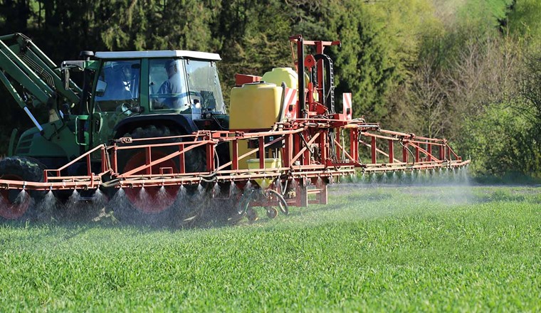 La deltametrina è un insetticida utilizzato in agricoltura ma altamente tossico per la vita acquatica. Tuttavia, questa sostanza non rappresenta un pericolo immediato per la qualità dell'acqua potabile. © Adobe Stock