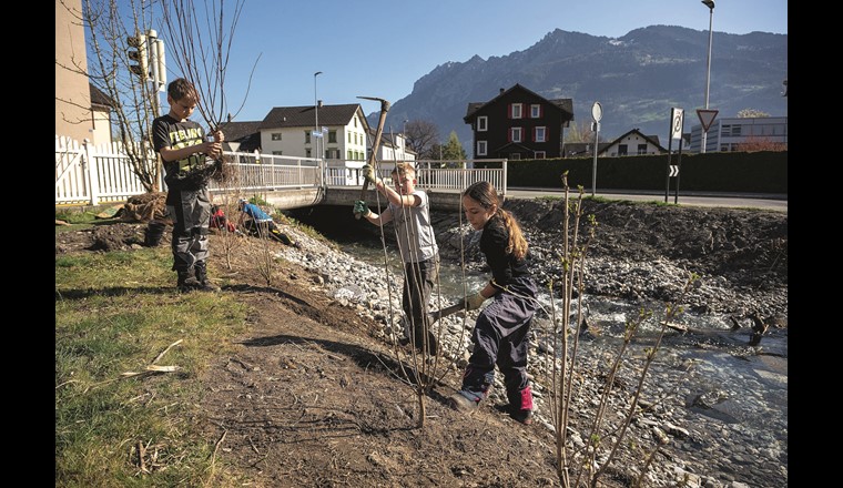 Kinder der lokalen Primarschule bepflanzen Böschung mit einheimischen Sträuchern und Bäumen. (© D. Tinner/Aqua Viva)