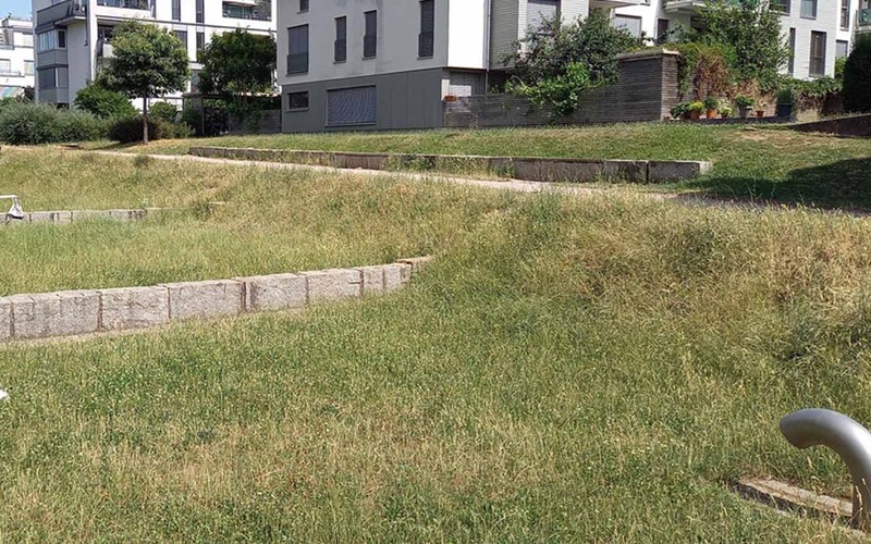 «Verstehen, was ist»