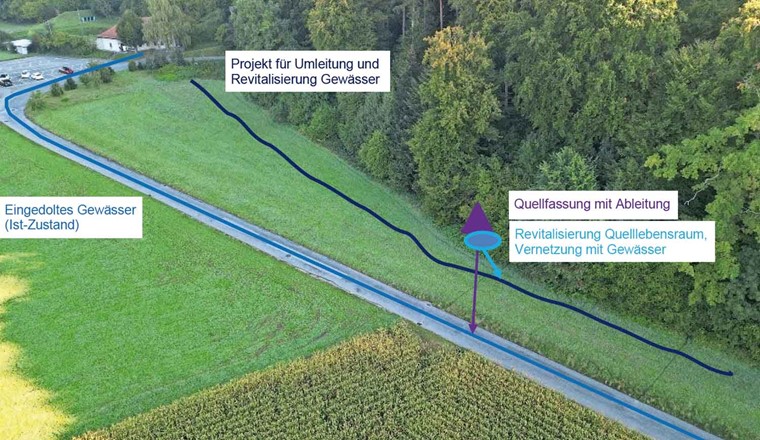 Fig. 4B Potenzielle Quellenrevitalisierung in Zusammenhang mit einer Bach-Revitalisierung.