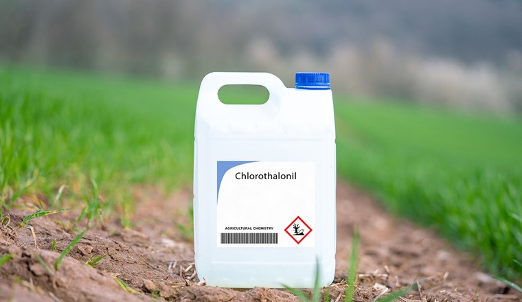 Chlorothalonil bleibt weiterhin verboten. © Adobe Stock