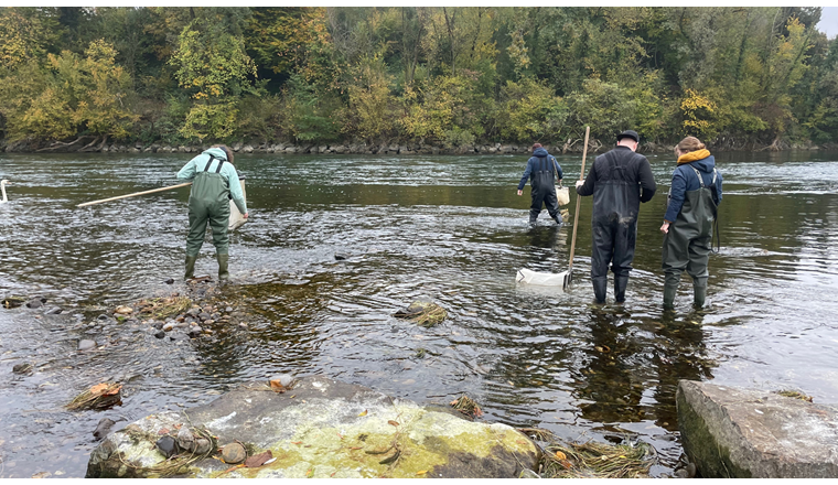 Abbildung 2: Impressionen vom Herbstanlass 2024 in Luzern. Fokus: Gewässerökologie und das Gewässer als Zentrum unserer Arbeit. © VSA