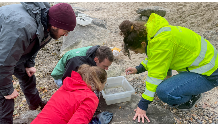 Abbildung 2: Impressionen vom Herbstanlass 2024 in Luzern. Fokus: Gewässerökologie und das Gewässer als Zentrum unserer Arbeit. © VSA