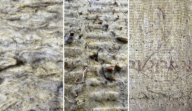 Fig. 10 Von links: Durchwurzelung der obersten, mittleren und unteren Steinwollen.