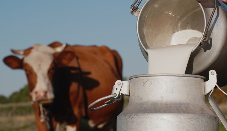 Der Kanton Thurgau beprobt in den nächsten drei Jahren nicht nur Milch, sondern auch Wasser und den Boden. ©Adobe Stock