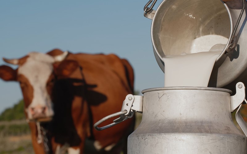 Thurgau startet mit PFAS Beprobungen