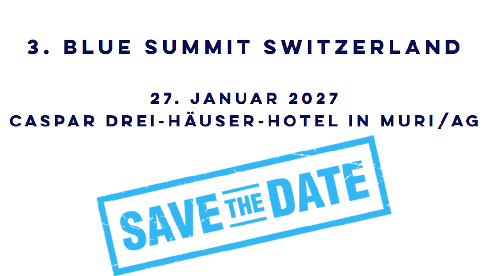 
                        3. Blue Summit Switzerland 
                    