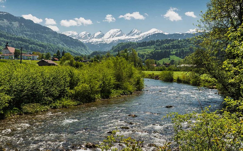 Gemeinsame Resolution: PFAS an der Quelle verhindern