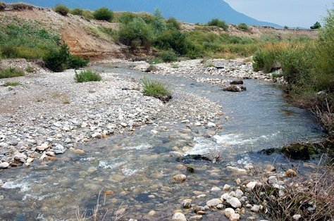 SWO Jahreskurs Biodiversität - Bachlebensräume, Bewirtschaftung und Entwicklung von Bachufervegetation und Gerinnesohle