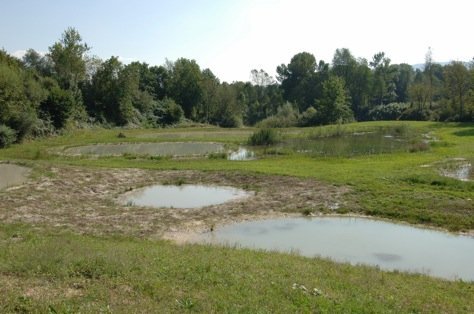 SWO Jahreskurs Biodiversität - Planung, Anlage und Unterhalt von Teichen und Tümpeln - Praxisfokus Pflege