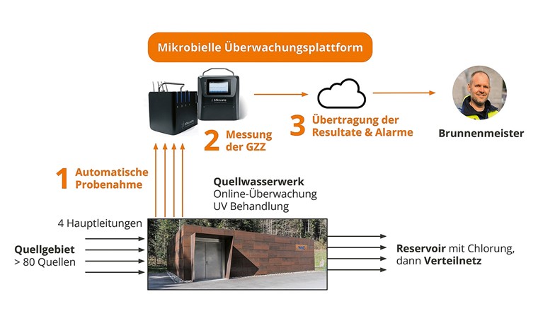 Fig. 1 Schema der pilotierten Überwachungsplattform im Quellwasserwerk Lorzentobel. Das Probenahmemodul führt Wasser aus vier Quellsträngen sequenziell dem Durchflusszytometer zu. Die Messdaten werden übertragen, visualisiert und für Alarmierungen genutzt.