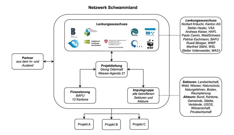 Fig. 4 Organisation des Netzwerks Schwammland. Die Projektleitung bei Wasser-Agenda 21 agiert als Schnittstelle zwischen dem Lenkungsausschuss, der ­Impulsgruppe, den Finanzgebern sowie weiteren Partner aus dem In- und Ausland.