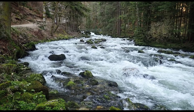 (c) «Source de l’Orbe, photo DGE