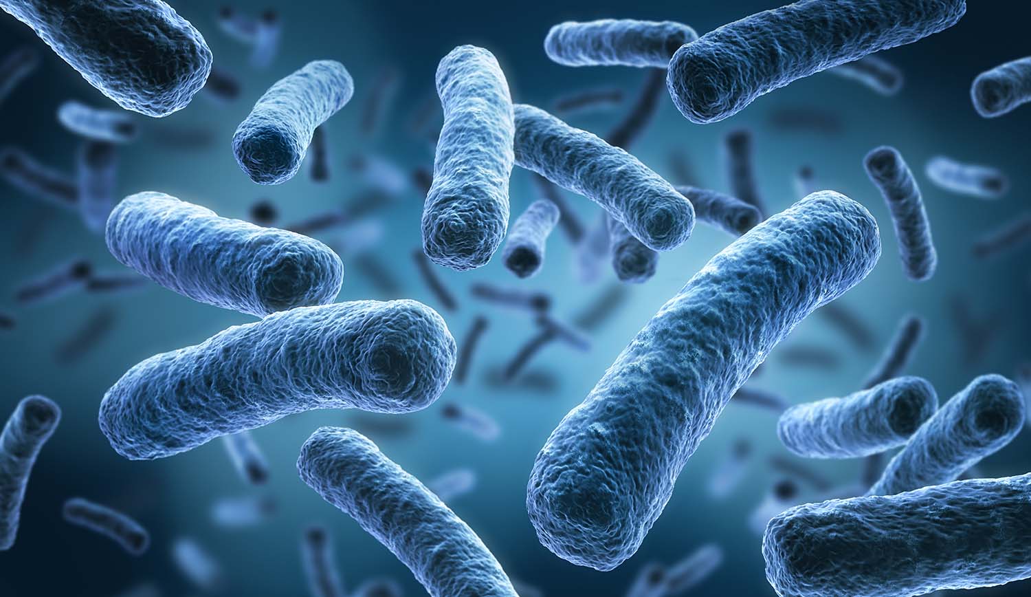 Legionellen kommen natürlicherweise im Süsswasser vor und können daher grundsätzlich auch in technischen Wassersystemen nachgewiesen werden. (© Adobe Stock)