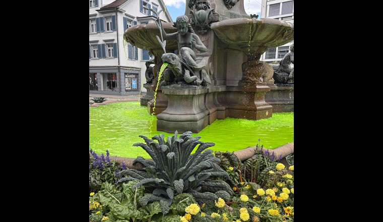 Zum Jubiläum der St. Galler Wasserversorgung plätscherte ausnahmsweise grün gefärbtes Wasser in den Brunnentrog.