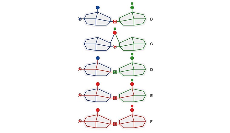 Fig. 2 Technische Formen der Regionalisierung: A = Netzverbindungen; B = Regionale Nutzung von Anlagen (Fassungen und Reservoire); C u. D = Regionale Wasserbeschaffung und Wassertransport (Primärversorger); C = Wasserlieferung bis in die Abgabebauwerke; D = Wasserlieferung und Wasserspeicherung; E = Regionale Vollversorgung (alle Anlagen und Leitungen)