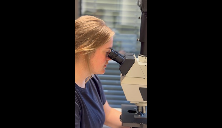 Gewässerökologin Salomé Stauffer (AquaPlus AG) bei der Arbeit. Fotos NEOVISO und Sicher/VSA