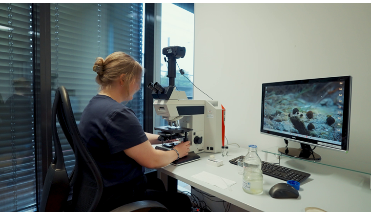 Gewässerökologin Salomé Stauffer (AquaPlus AG) bei der Arbeit. Fotos NEOVISO und Sicher/VSA