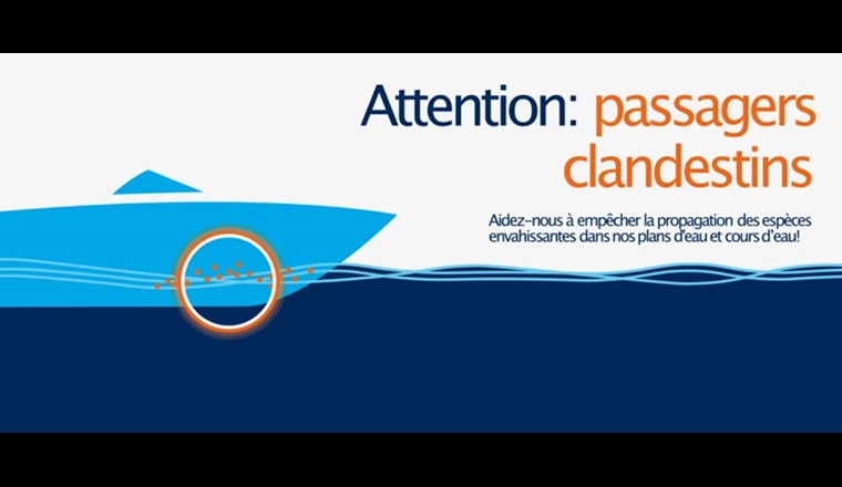 Obligation de déclaration et de nettoyage des bateaux © AWEL