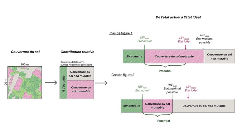 Fig. 2 Principe de calcul du potentiel et les deux cas de figure qui en découlent.