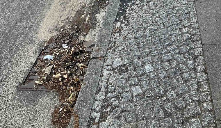 Verschmutze Strasse und verstopfter Ablauf nach Starkregenereignis.  © Eva Paton