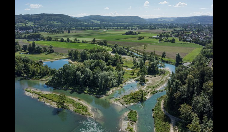 Fig. 1 La valorizzazione ecologica del Chly Rhy a Koblenz (AG) ha previsto in particolare il dissotterramento di un braccio interrato del Reno lungo 1,5 chilometri, dove ora l’acqua fuoriesce dalle sponde solo in caso di piena. Ciò ha consentito di creare un paesaggio rivierasco dinamico. (Foto: H. Böhler u. M. For-te/Ex-Press/UFAM)