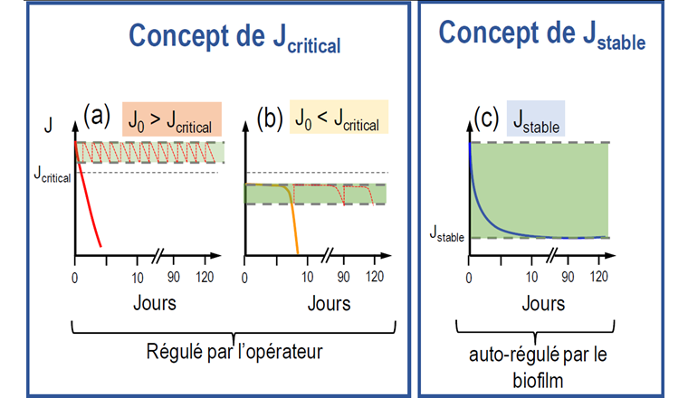 Fig. 2 Concept de Flux critique (à gauche) vs. concept Stabilisation du flux (à droite). La zone verte indique la gamme de flux dans laquelle le colmatage est toléré, et les lignes rouges pointillées représentent la tendance attendue du flux de perméat lorsque des stratégies de contrôle du colmatage sont appliquées (a et b).